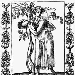 Geschichte(n) der Freundschaft